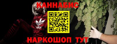 крисы Ирбит
