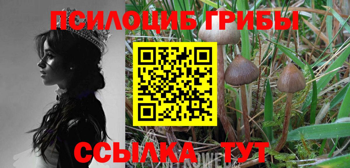 Галлюциногенные грибы мухоморы Котовск