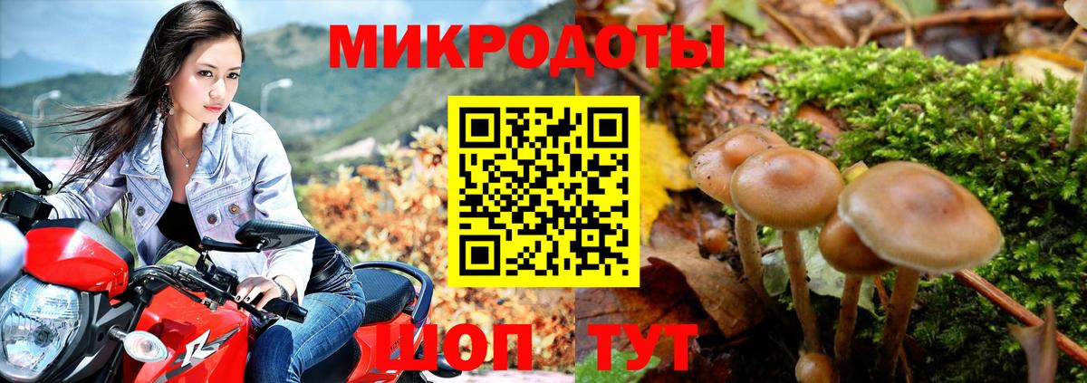 Котовск  Галлюциногенные грибы Cubensis  Вход с VPN  Галлюциногенные грибы MAGIC MUSHROOMS 